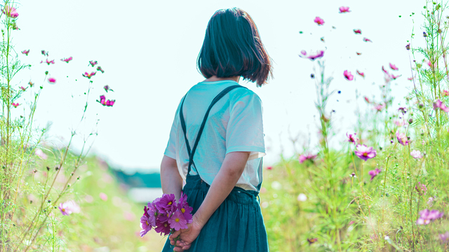 コスモスを集める女性の後ろ姿